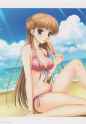 noel bikini dreamsicle