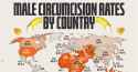 Male-Circumcision-Rates-by-Country_Shareable_11052024