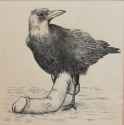 giant bird cock
