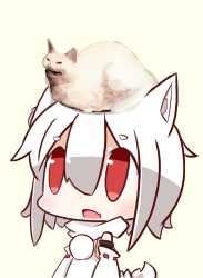 hat=köt