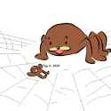 spider