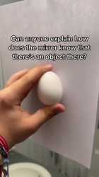 1681066839797398