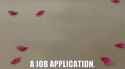 job application