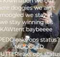 309 KB