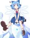 --cirno-touhou-drawn-by-do-4-rt--a1a385286963c3d460456a6f2a2bfccd.jpg