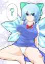 __cirno_touhou_drawn_by_doseisan_dosei_san__11eae81b42b1f654a8feb63dd22fd630.png