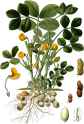 762 KB
