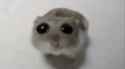 106 KB