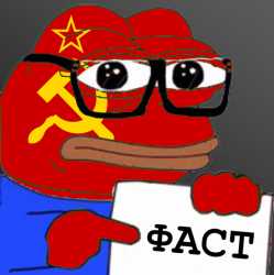 223 KB