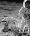 135 KB