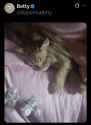 314 KB