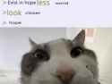 46 KB