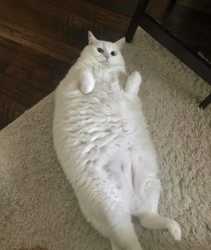 170 KB