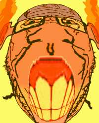 463 KB