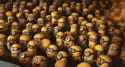 487 KB