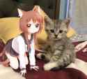 66 KB