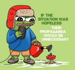 133 KB