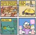 36 KB