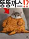 944 KB
