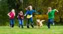 1.66 MB