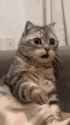 179 KB