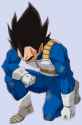 vegeta kneel