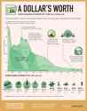 VCE-Purchasing-Power-of-the-US-Dollar