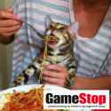 gamestop spaghetti kitty