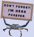 crab is here forever