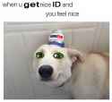 GME-when you get a nice ID