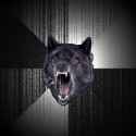 Insanity_Wolf