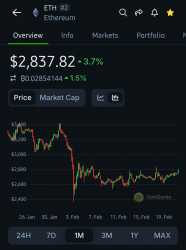 Screenshot_20250221_134130_CoinGecko