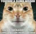 you are a dumb nigger