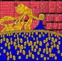 300 KB