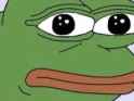 froge staring at you