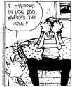 Based Calvin