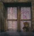 bears fall out of windows