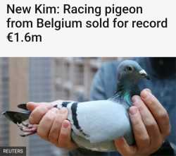 1747393122372007