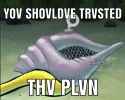 thv plvn