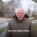 bernie