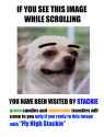 FLY_HIGH_STACKIE