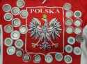 Polish coins
