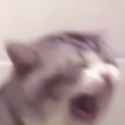 ket