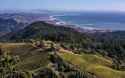 fort-ross-vineyard-sonoma-SONOMASIPS0919-6732727f9d3e4130acf6395ca7eebbf0