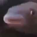 1701630051890833