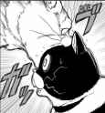 cat bite