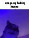 1750260236225472