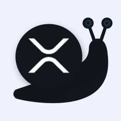 100 KB