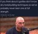 254 KB