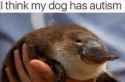 101 KB
